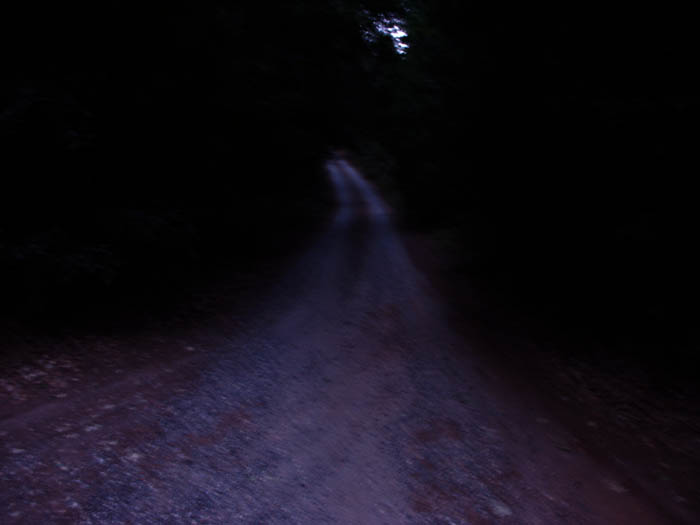 Gloomy Road