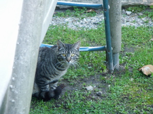 20060326-172007-PICT1147