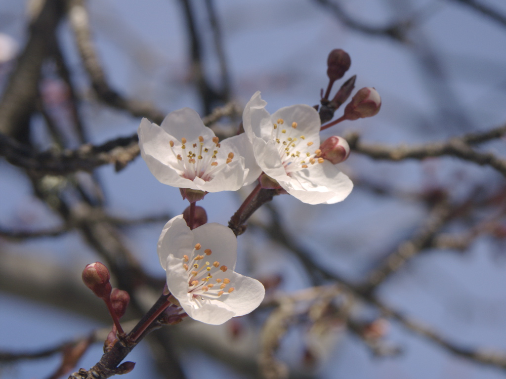 PICT0019