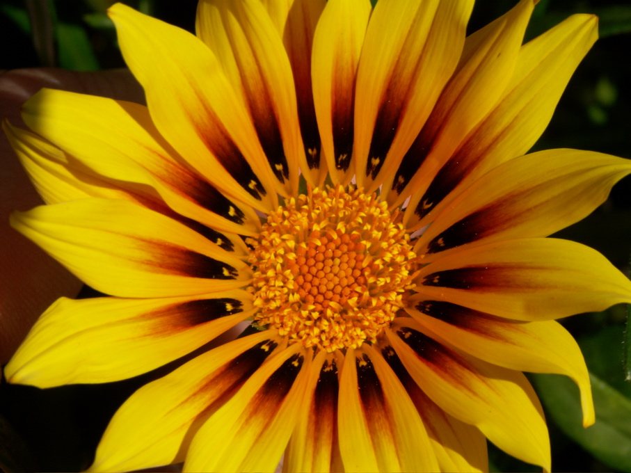 PICT0014.JPG