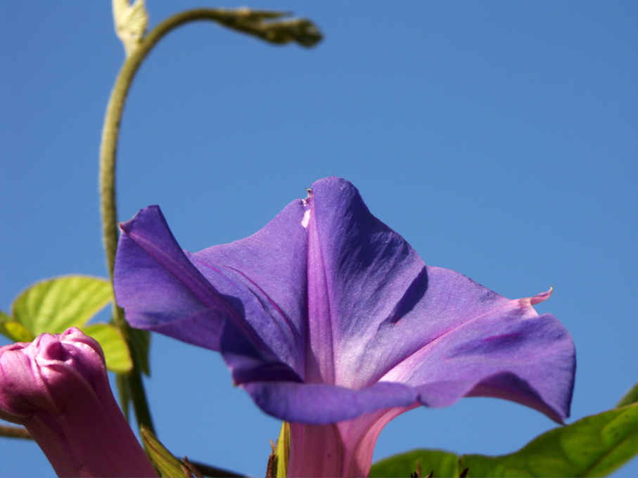 PICT0006.JPG