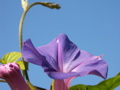 PICT0006.JPG