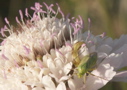 PICT0016.JPG