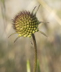 PICT0019.JPG