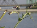 PICT0022.JPG