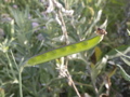 PICT0023.JPG