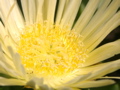 PICT0002