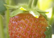 PICT0003.JPG