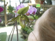 PICT0012.JPG