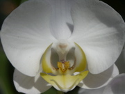 PICT0022.JPG