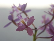 PICT0026.JPG
