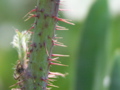 PICT0005