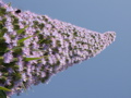 PICT0003.JPG