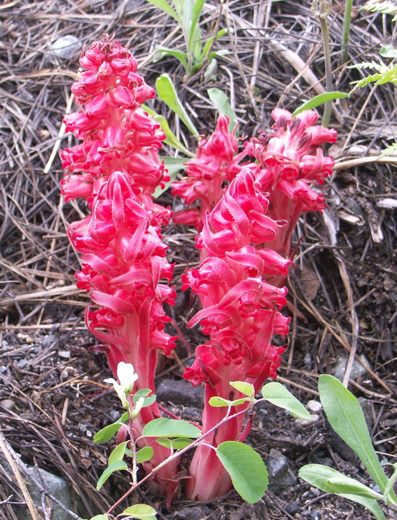 PICT0053.JPG
