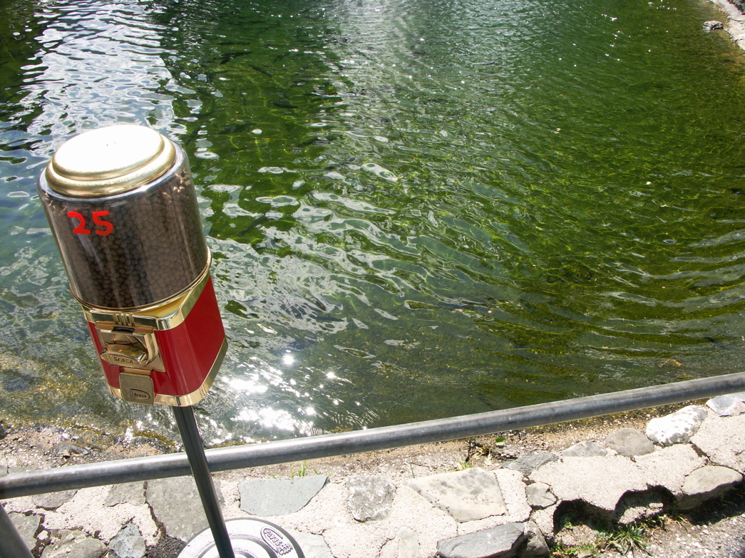 PICT0074.JPG