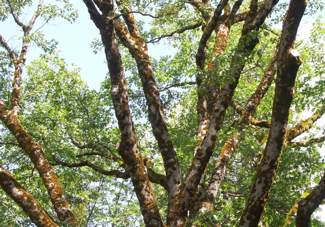 PICT0073.JPG