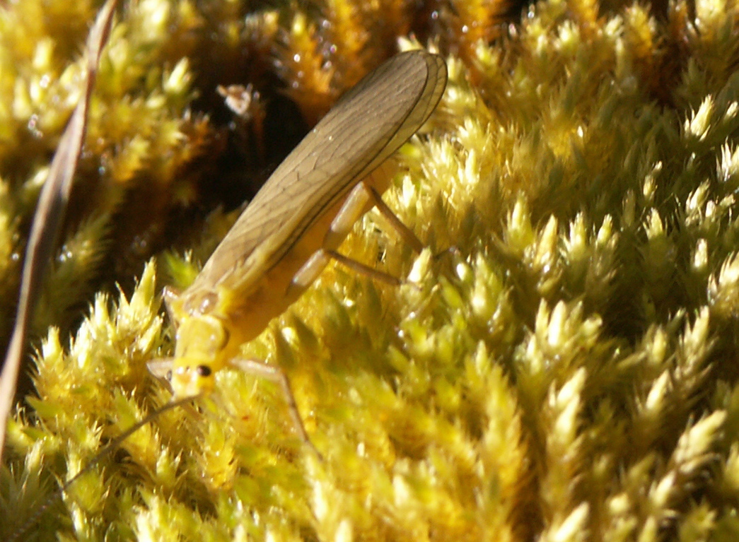 PICT0105.JPG