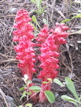 PICT0053.JPG