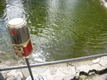 PICT0074.JPG
