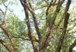 PICT0073.JPG