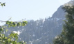 PICT0091.JPG