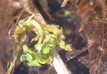 PICT0094.JPG