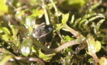 PICT0095.JPG