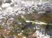 PICT0097.JPG