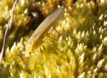 PICT0105.JPG