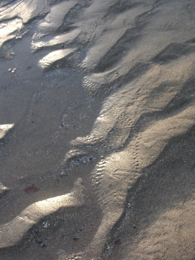 20050122-170757-PICT0059