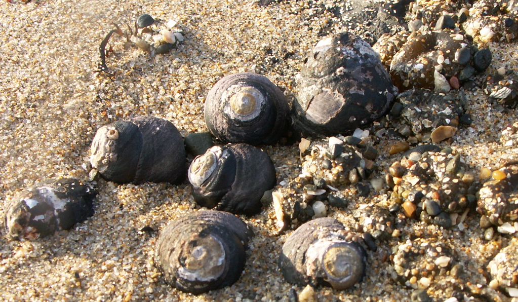 20050122-165930-PICT0054