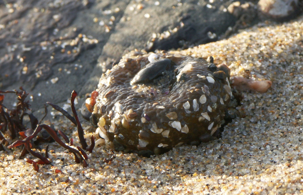 20050122-165942-PICT0055